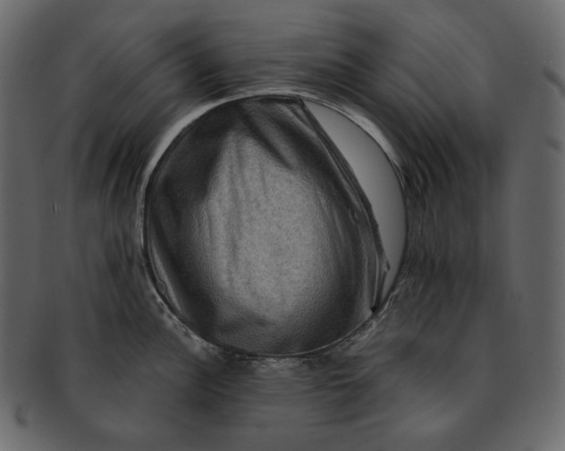 X0000092291148200710051157