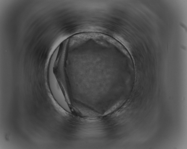 X0000092291152200710051157