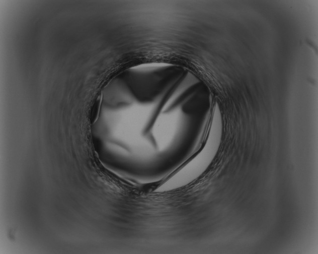 X0000092291153200710051156