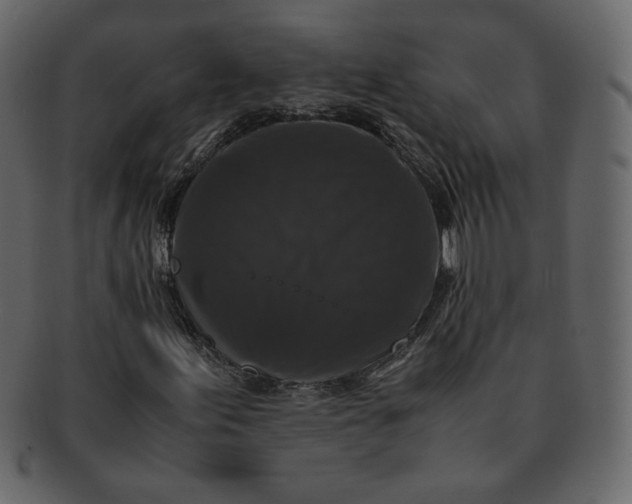 X0000092291155200710051156