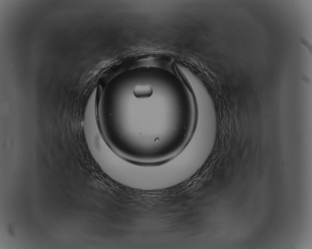 X0000092291157200710051156