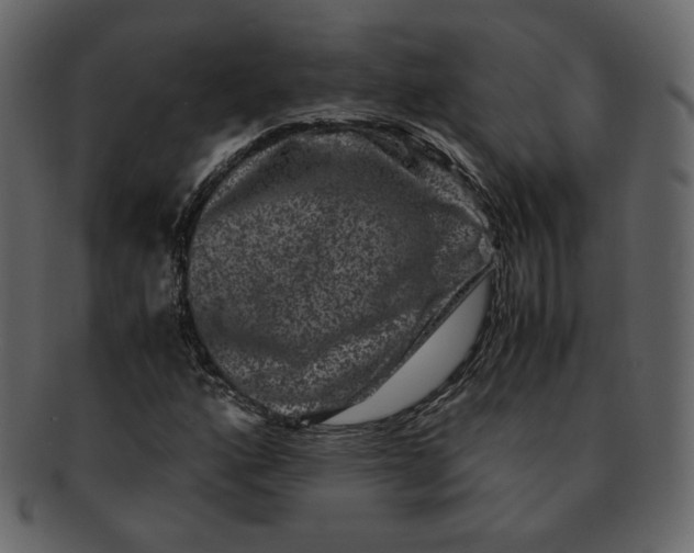 X0000092291160200710051156