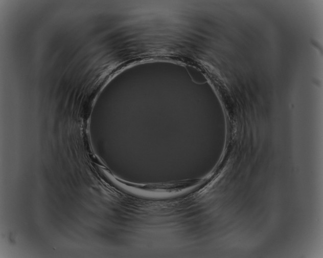 X0000092291161200710051156