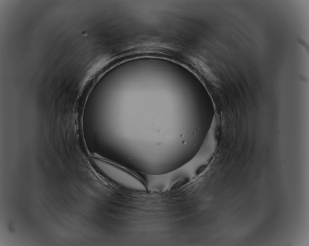 X0000092291164200710051156