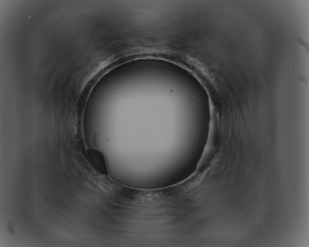 X0000092291165200710051156