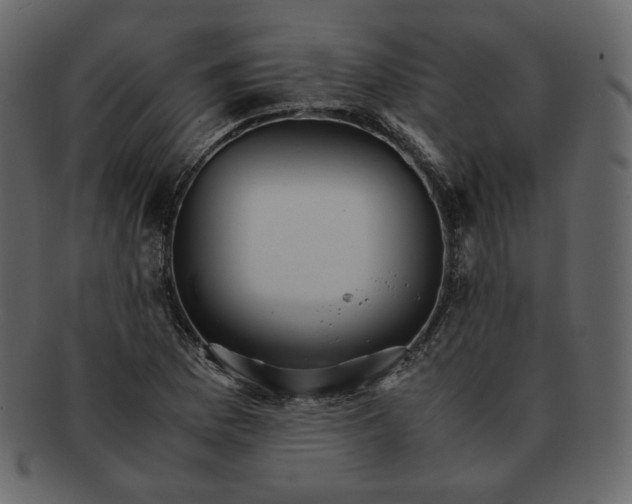 X0000092291169200710051156