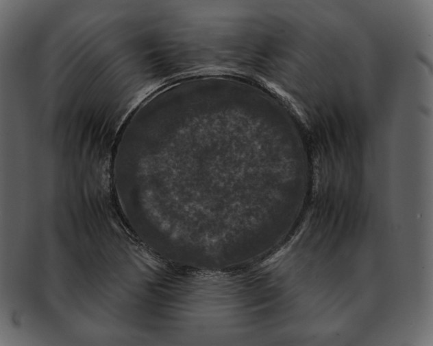 X0000092291170200710051156