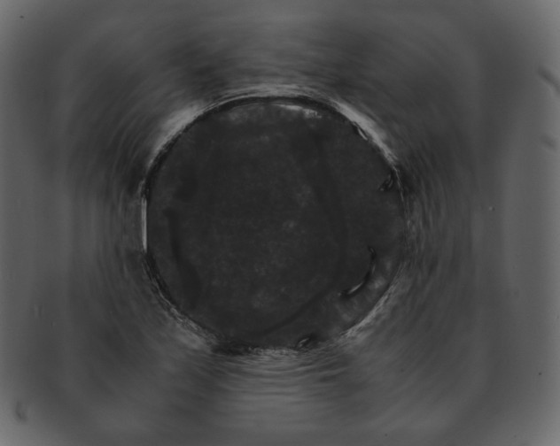 X0000092291171200710051156