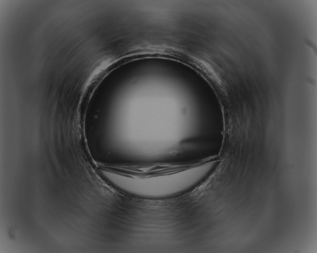 X0000092291172200710051156