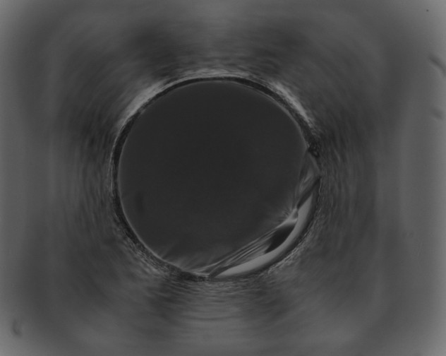 X0000092291173200710051156