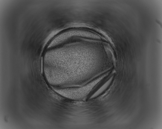 X0000092291175200710051156