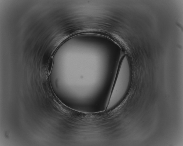 X0000092291177200710051156