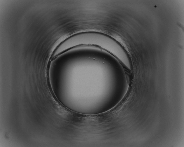 X0000092291181200710051156