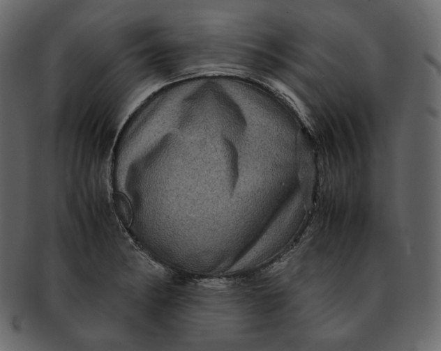 X0000092291182200710051156