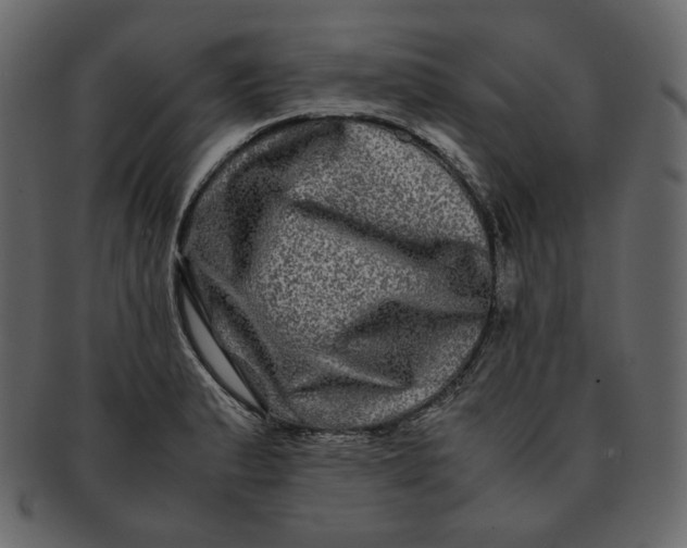 X0000092291183200710051156