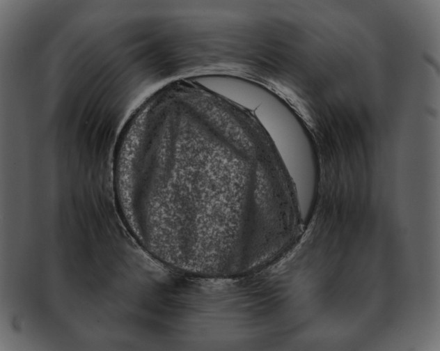 X0000092291184200710051156