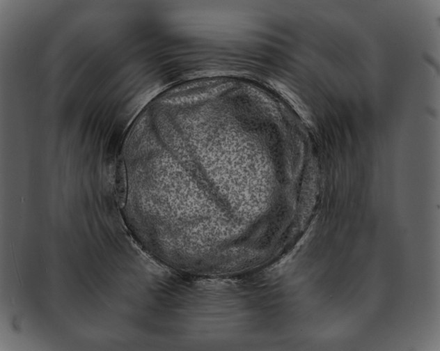 X0000092291185200710051156