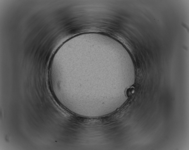 X0000092291187200710051156