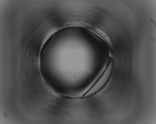 X0000092291188200710051156