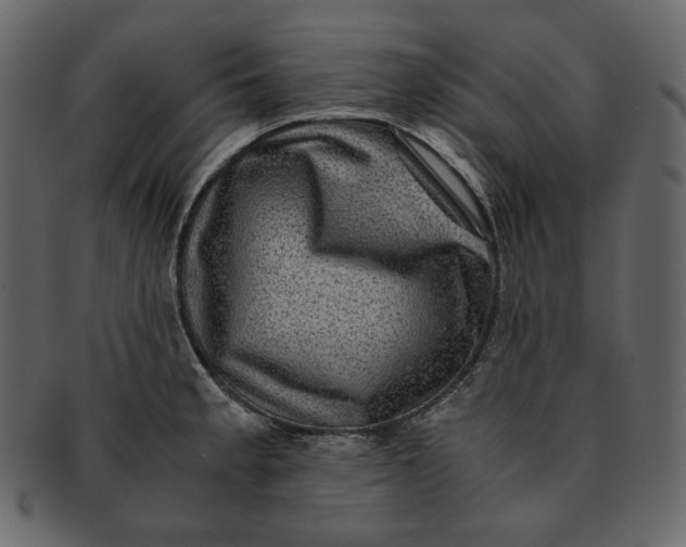 X0000092291189200710051156