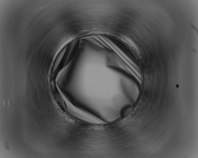 X0000092291190200710051156