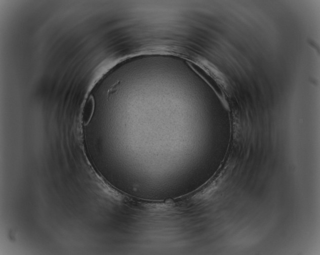 X0000092291192200710051156