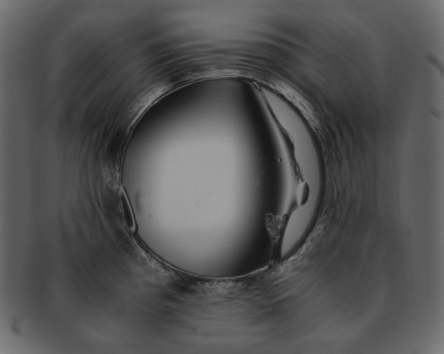 X0000092291193200710051156