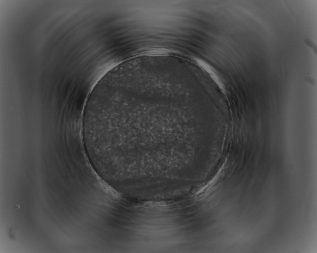 X0000092291194200710051156