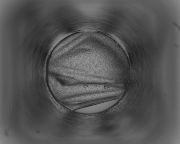 X0000092291195200710051156