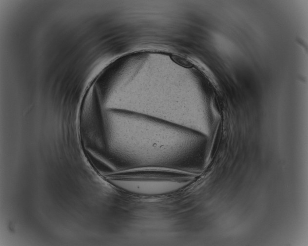 X0000092291199200710051156