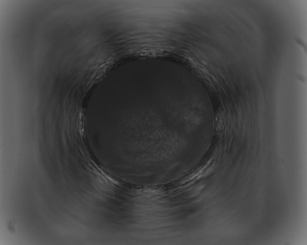 X0000092291202200710051155