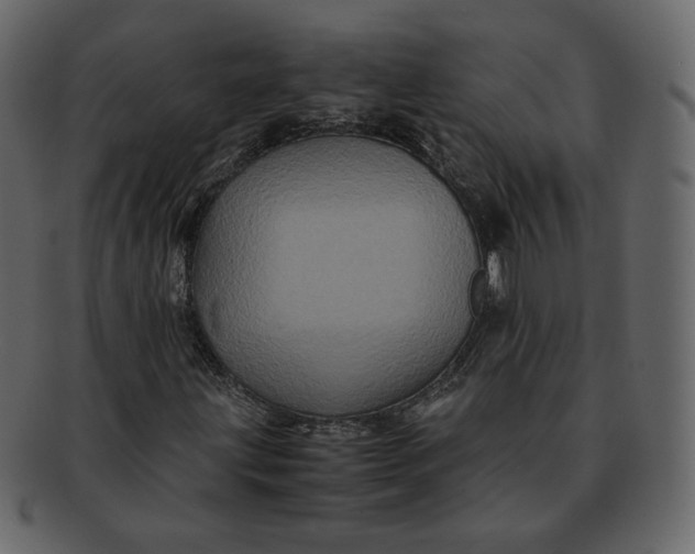 X0000092291203200710051155