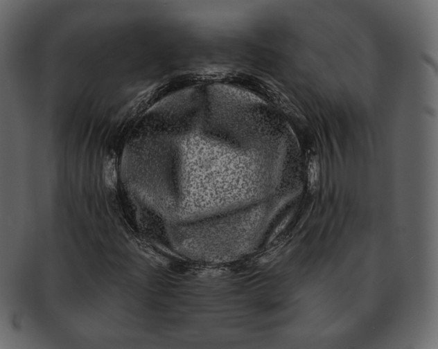 X0000092291204200710051155