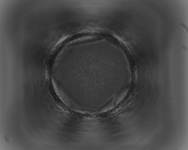 X0000092291206200710051155