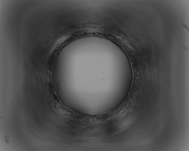 X0000092291207200710051155