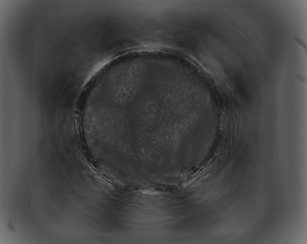 X0000092291208200710051155