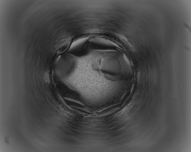 X0000092291209200710051155