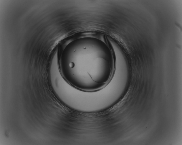 X0000092291210200710051155