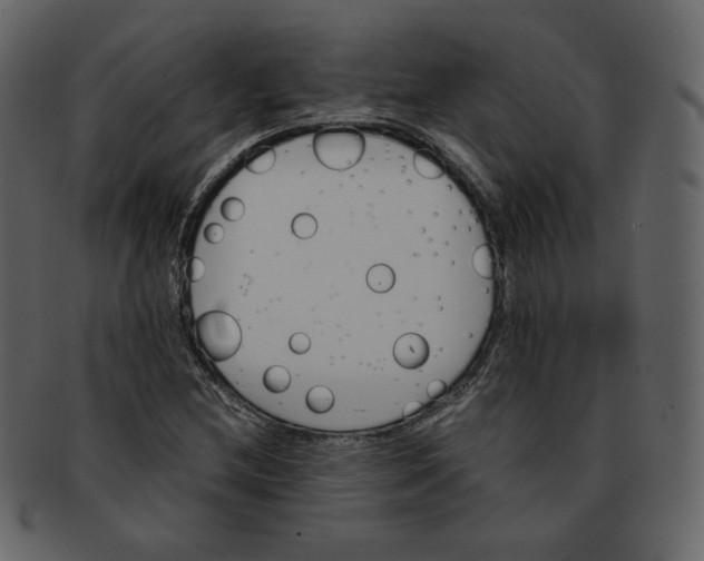 X0000092291212200710051155