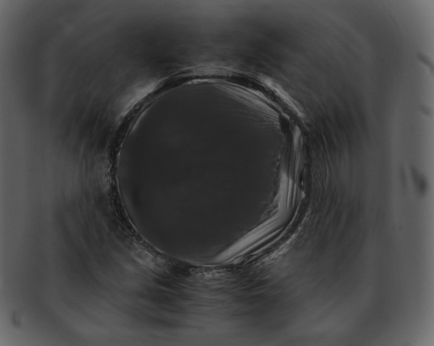 X0000092291213200710051155