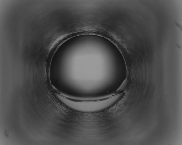 X0000092291214200710051155