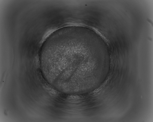 X0000092291215200710051155