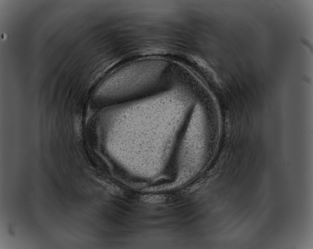 X0000092291217200710051156