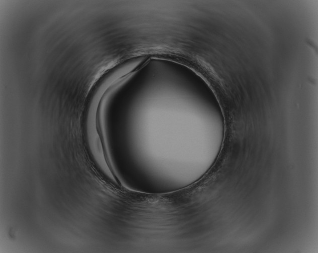 X0000092291218200710051156