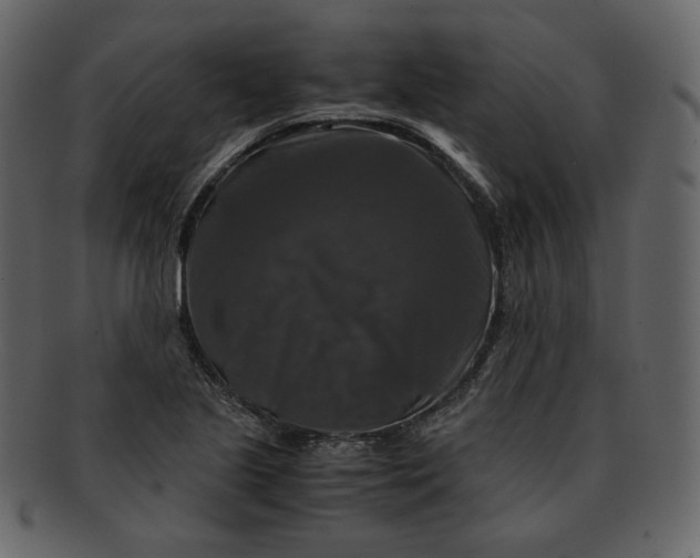 X0000092291221200710051156