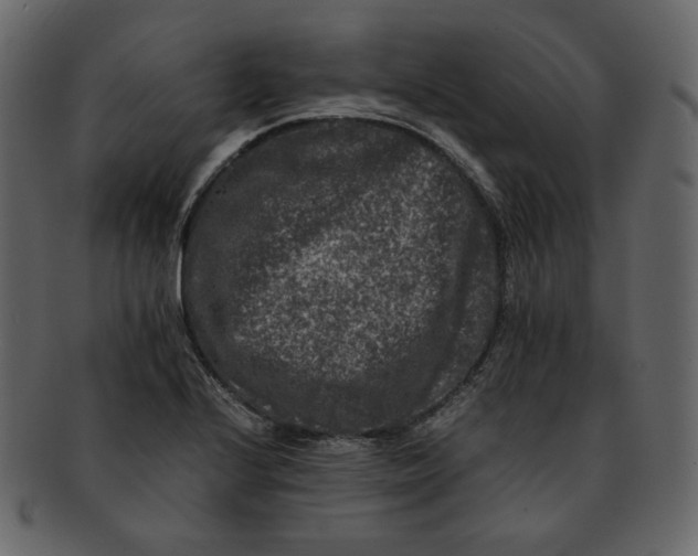 X0000092291224200710051156