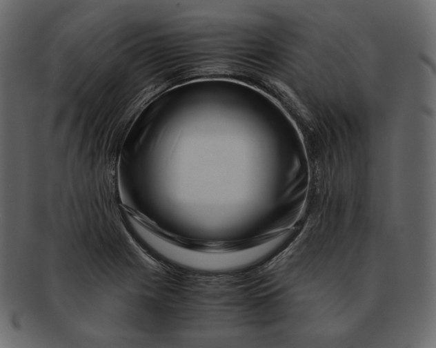 X0000092291225200710051156