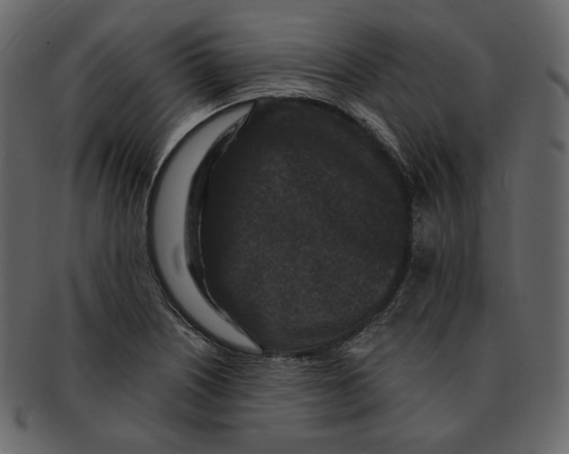 X0000092291226200710051156