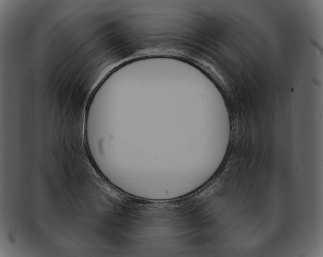 X0000092291228200710051156