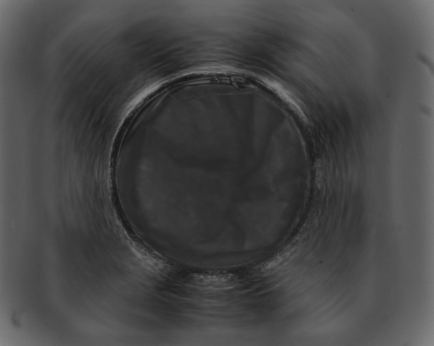 X0000092291229200710051156